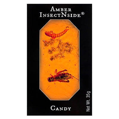 Amber InsectNside Candy