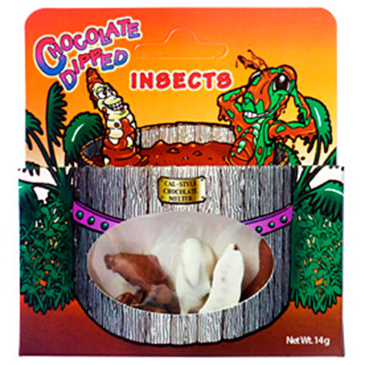 Chocolate Dipped Insects